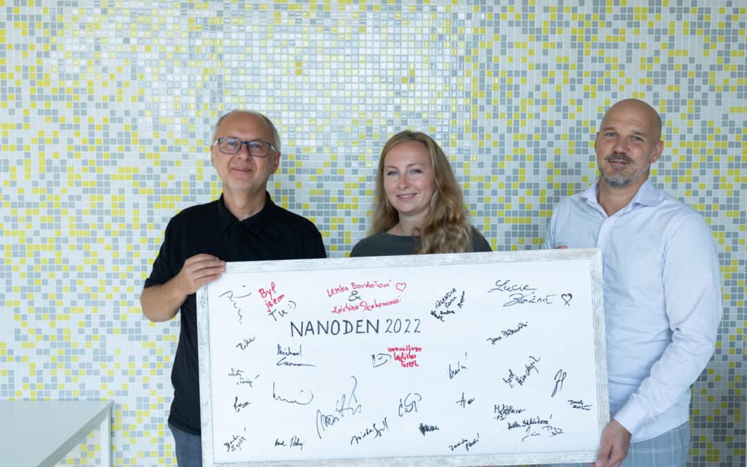 Nanoden ukázal první malbu na světě na nanovlákenném plátnu